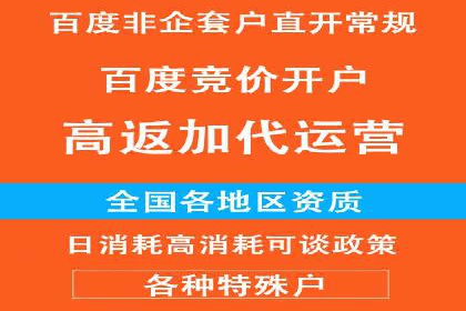 案例分享：百度竞价排名助力企业实现跨越式发展